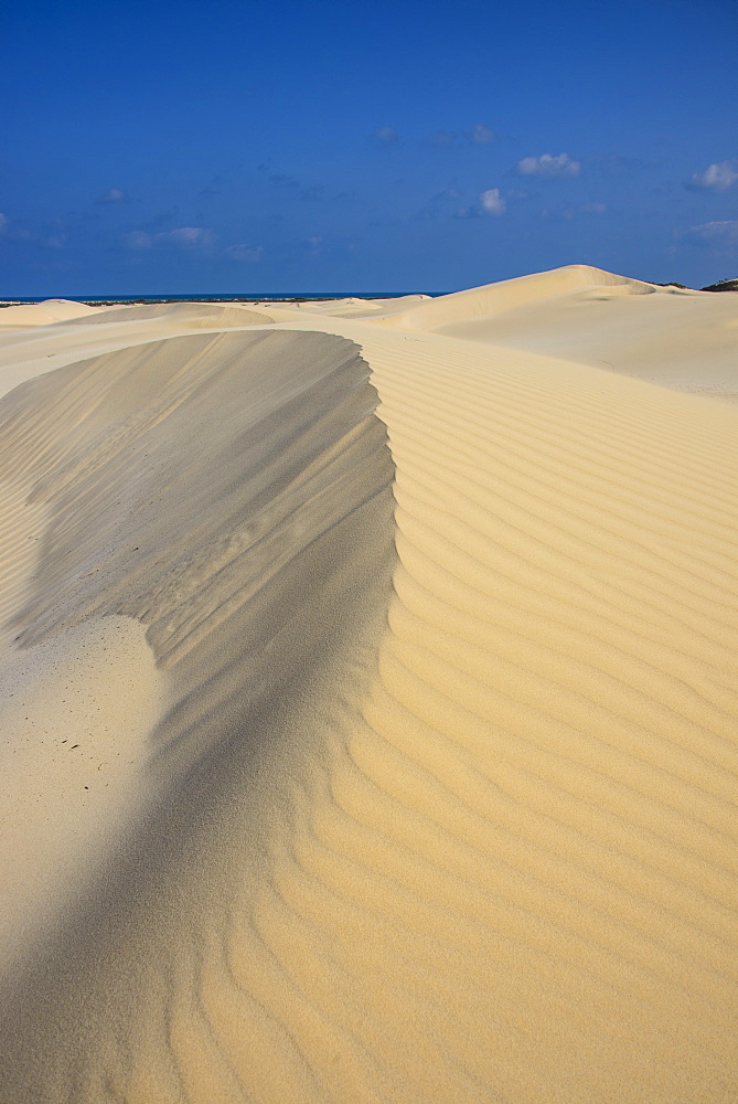 Sand dunes on the south coast of the island of Socotra, UNESCO World Heritatge Site, Yemen, Middle East