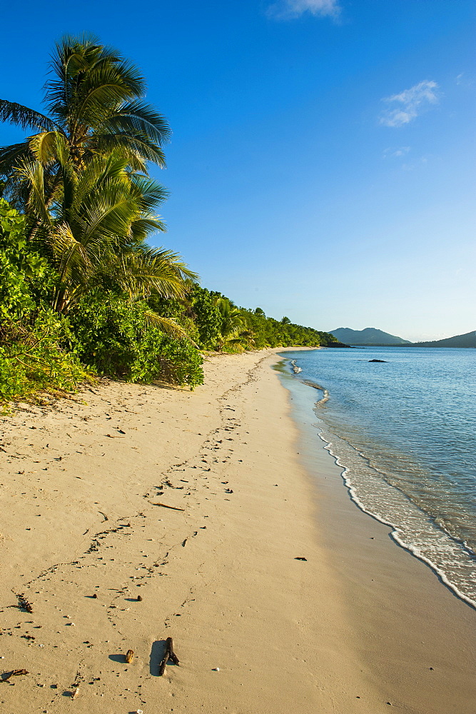 White sandy beach, Oarsman Bay, Yasawas, Fiji, South Pacific, Pacific