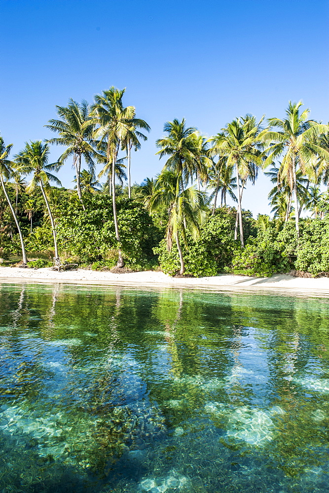 White sand beach, Nanuya Lailai island, the blue lagoon, Yasawas, Fiji, South Pacific, Pacific