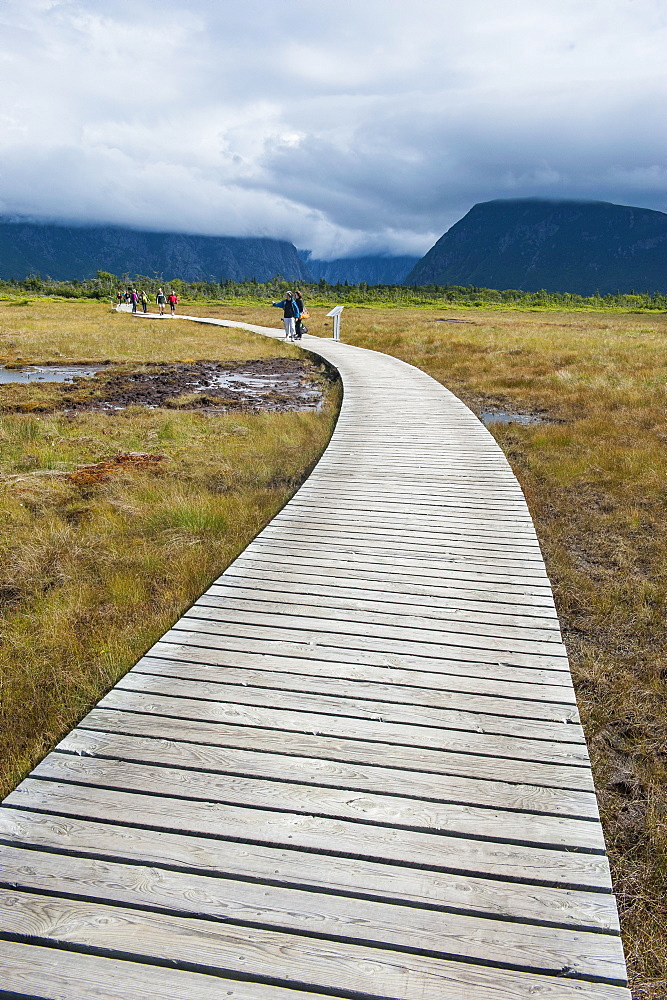 Walkway along Jerrys Pond in Gros Morne National Park, UNESCO World Heritage Site, Newfoundland, Canada, North America