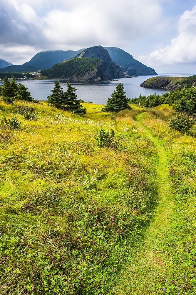 Bottle Cove near Corner Brook, Newfoundland, Canada, North America