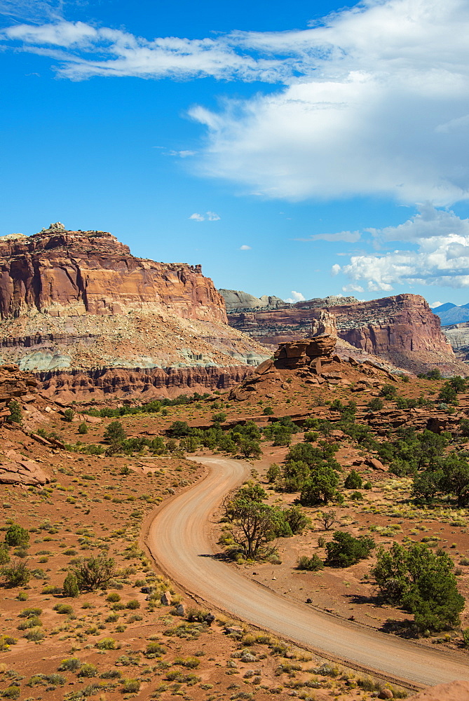 Road leading through the Capitol Reef National Park, Utah, United States of America, North America