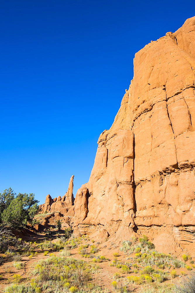 Redrock sandstone formations in the Kodachrome Basin State Park, Utah, United States of America, North America