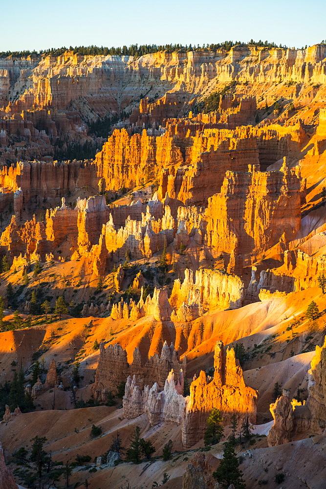 The colourful sandstone formations of the Bryce Canyon National Park in the late afternoon, Utah, United States of America, North America