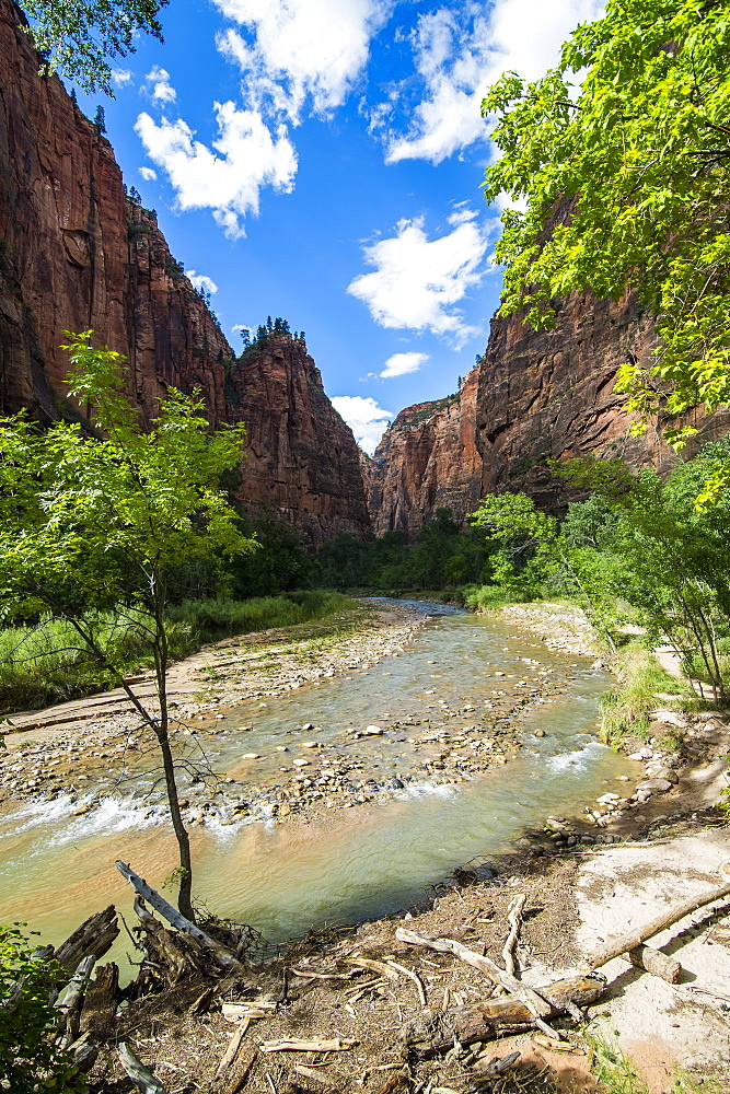 The cliffs of the Narrows in the Zion National Park, Utah, United States of America, North America