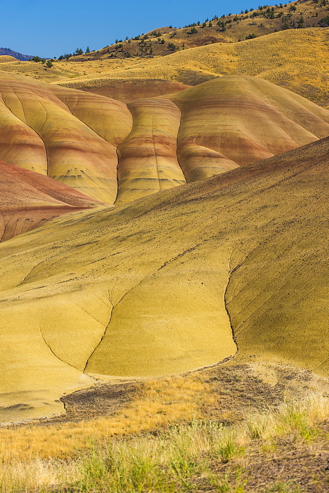 The colourful hills of the Painted Hills unit in the John Day Fossil Beds National Monument, Oregon, United States of America, North America