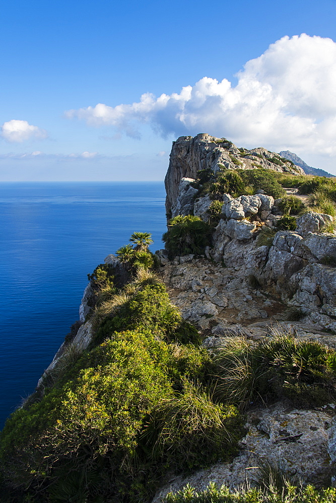 The rocky cliffs of Cap Formentor, Mallorca, Balearic Islands, Spain, Mediterranean, Europe 