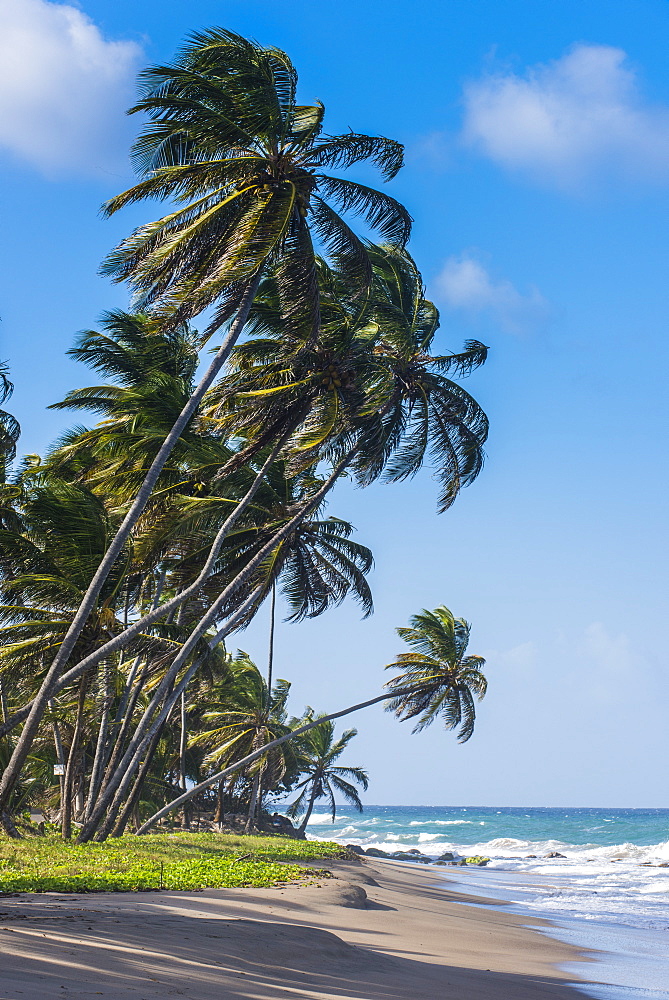 The beach of Sauteurs, Grenada, Windward Islands, West Indies, Caribbean, Central America