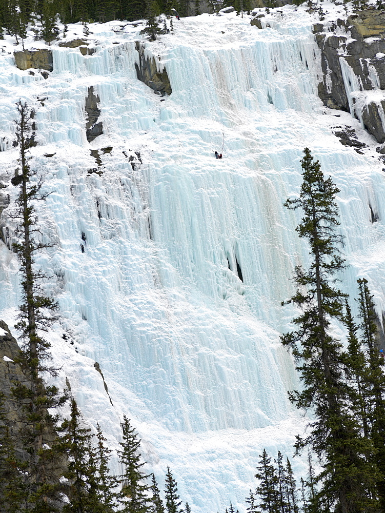 Weeping Wall, water freezing over a limestone cliff, Banff National Park, UNESCO World Heritage Site, Rocky Mountains, Alberta, Canada, North America