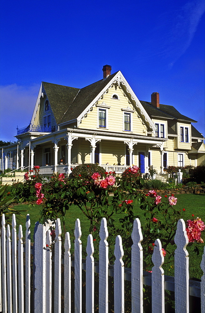 Victorian home with rose garden and white picket fence offering bed and breakfast, Mendocino, California, United States of America, North America