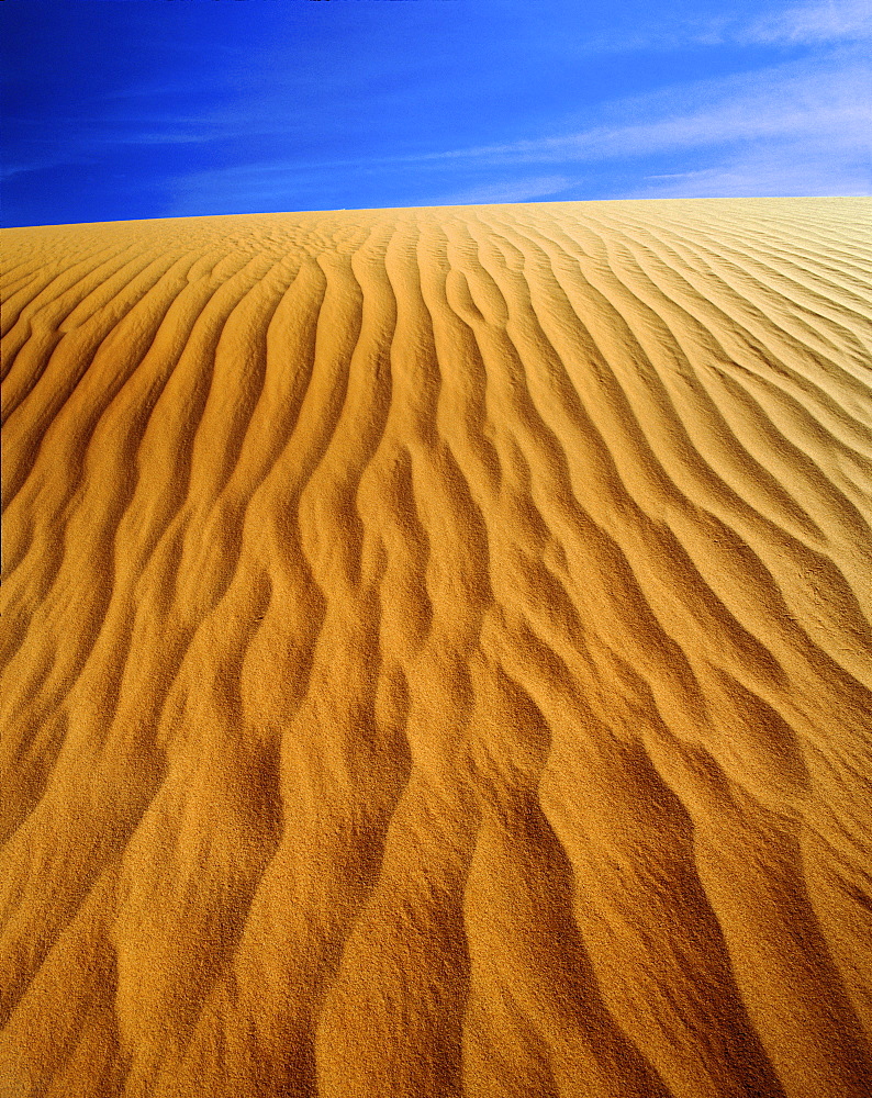 Ripples in sand dunes, Monument Valley, Arizona, United States of America, North America