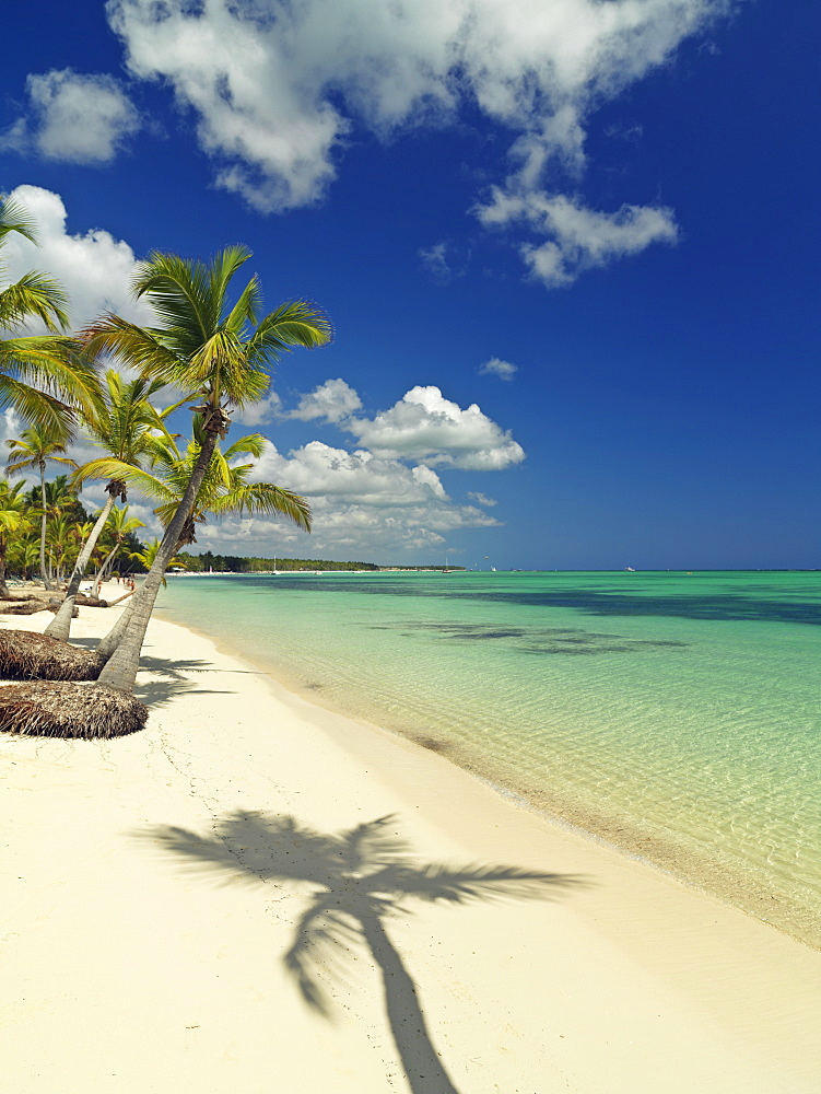 Shadow of palm tree on white sandy beach, Bavaro Beach, Punta Cana, Dominican Republic, West Indies, Caribbean, Central America