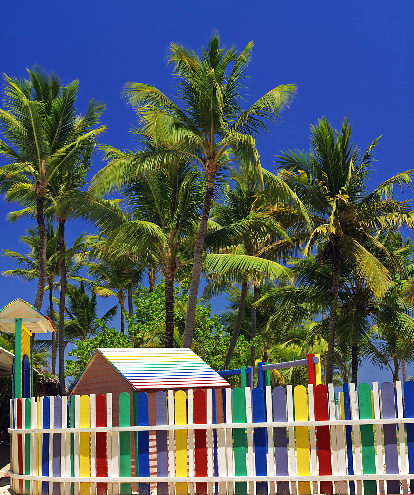 Multi-colored picket fence and palm trees on beach, Bavaro Beach, Punta Cana, Dominican Republic, West Indies, Caribbean, Central America