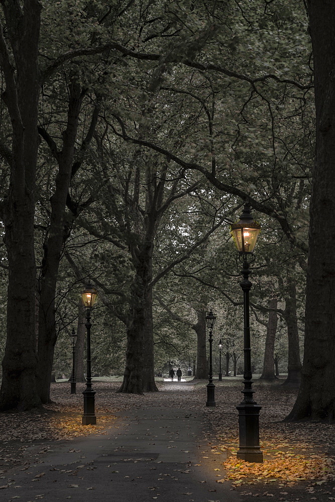 Green Park at dusk, Westminster, London, England, United Kingdom, Europe