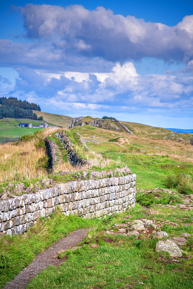 Hadrian's Wall, UNESCO World Heritage Site, Henshaw, Hexham, Northumberland, England, United Kingdom, Europe