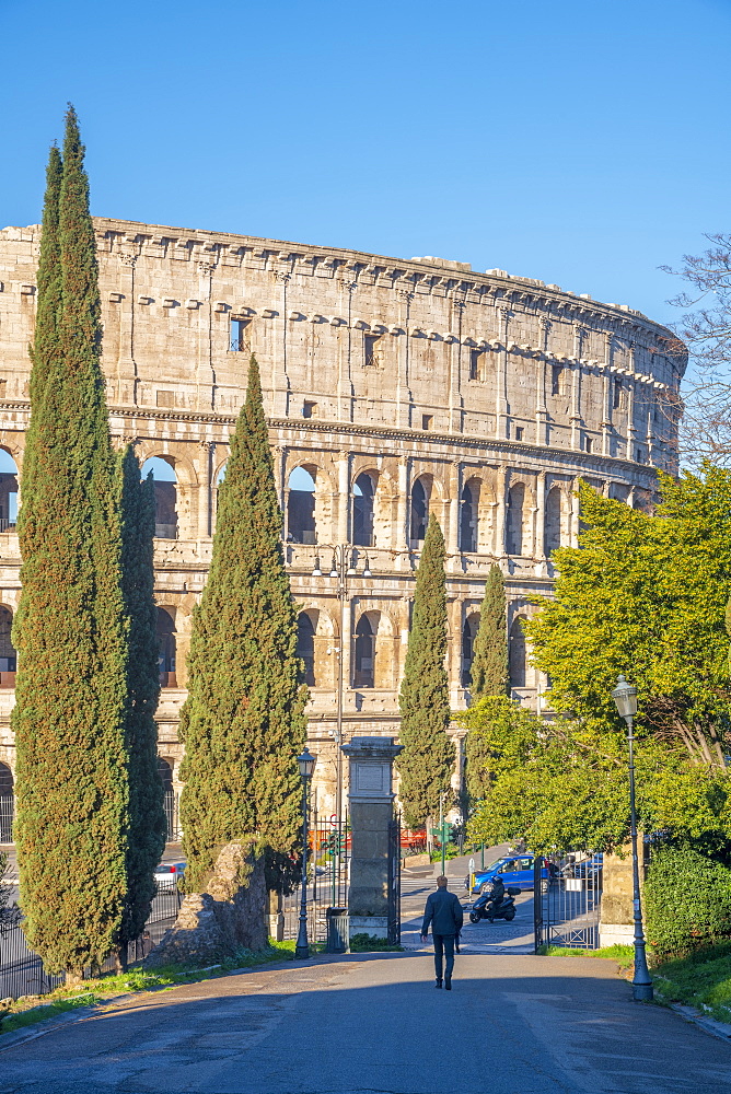 Coliseum from Parco del Colle Oppio, UNESCO World Heritage Site, Rome, Lazio, Italy, Europe