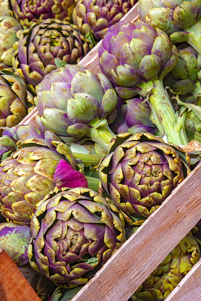 Artichokes for sale, market stalls, Campo de Fiori, Regola, Rome, Lazio, Italy, Europe