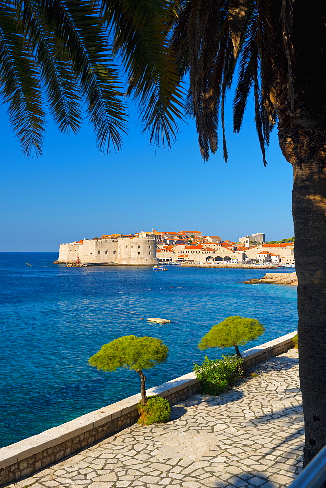 Old Town (Stari Grad), UNESCO World Heritage Site, Dubrovnik, Dalmatia, Croatia, Europe