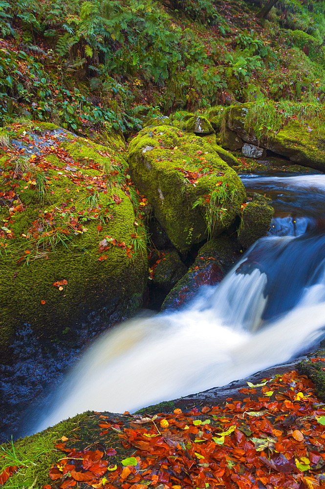 Llanrhaeadr ym Mochnant, Pistyll Rhaeadr Waterfalls, Berwyn Mountains, Powys, Wales, United Kingdom, Europe 