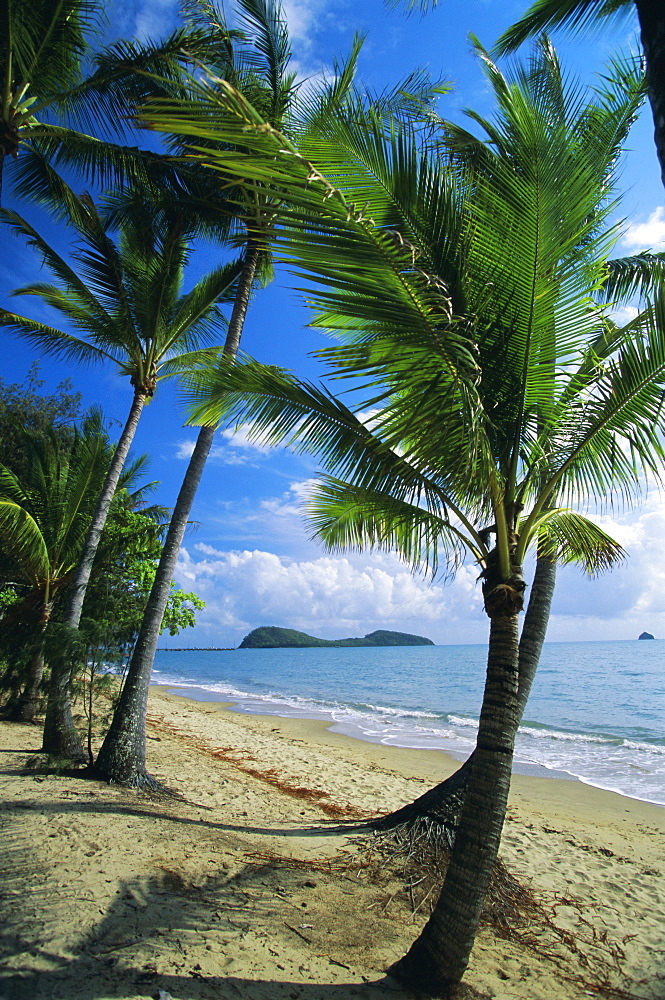 Palm Cove, with Double Island beyond, north of Cairns, Queensland, Australia