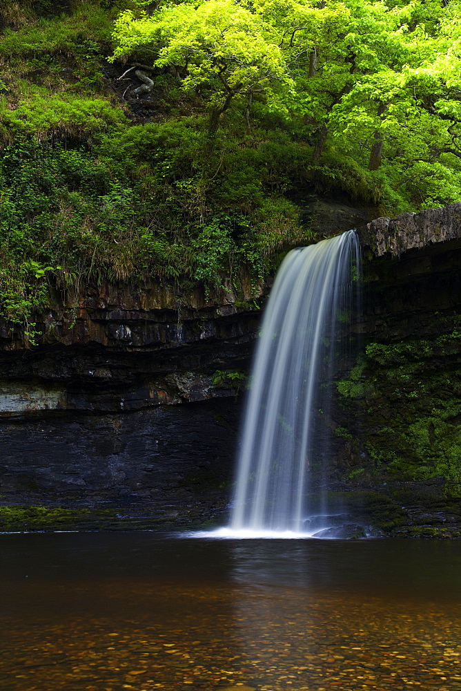 Sgwd Gwladus, near Ystradfellte, Brecon Beacons National Park, Wales, United Kingdom, Europe