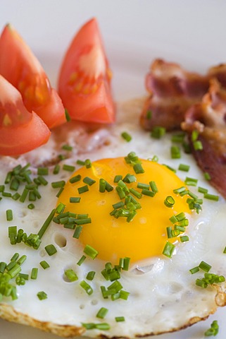 Fried egg with bacon, tomatoes and chives