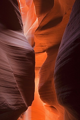 Upper Antelope Canyon, Slot Canyon, Page, Arizona, USA