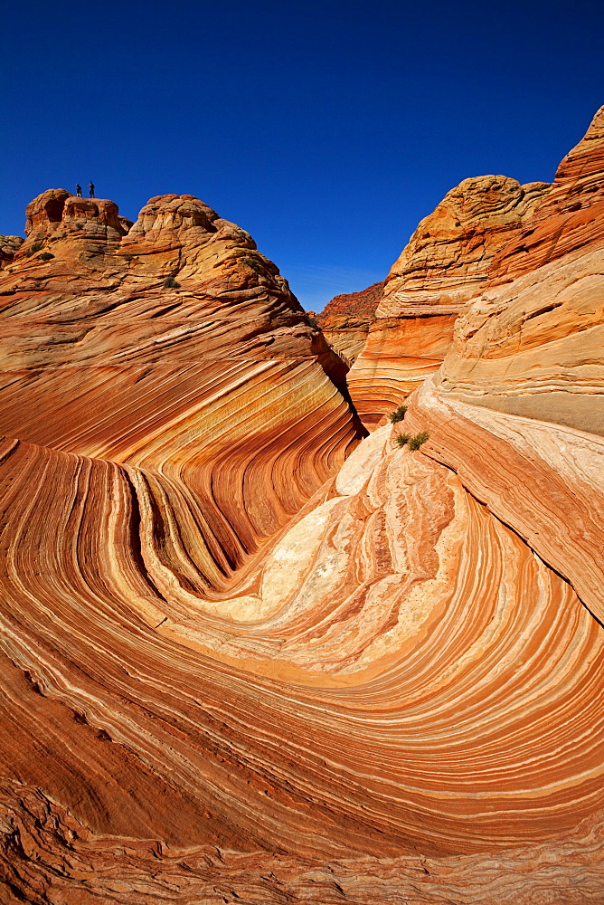 The Wave, rock formation in Coyote Buttes North, Paria Canyon-Vermilion Cliffs Wilderness, Utah, Arizona, USA