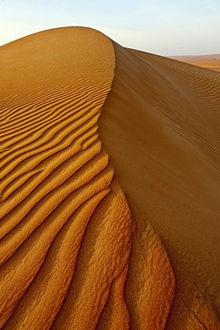 Dune ridge, Wahiba Sands, Oman, Middle East