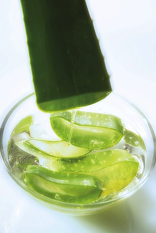 Aloe Vera, pieces and gel