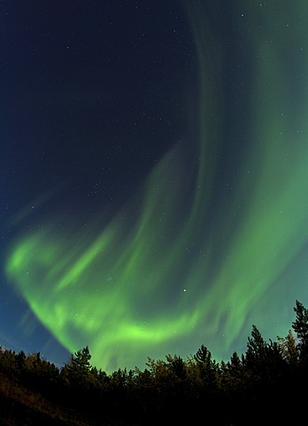 Swirling Northern lights, Polar Aurorae, Aurora Borealis, green, near Whitehorse, Yukon Territory, Canada