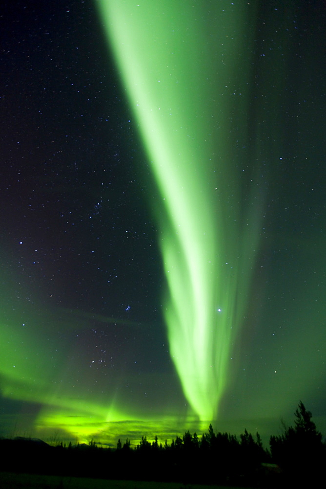 Swirling Northern lights, Polar Aurorae, Aurora Borealis, green, near Whitehorse, Yukon Territory, Canada