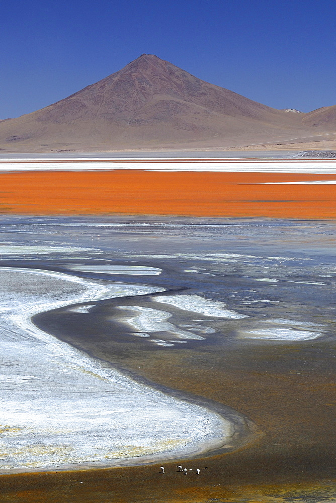 Play of colours of the Laguna Colorada, Reserva Nacional de Fauna Andina Eduardo Abaroa, Altiplano, Sur Lipez, Bolivia, South America