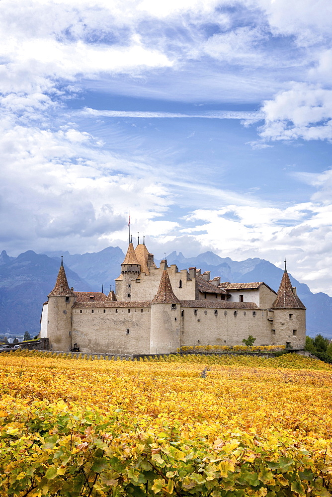 Aigle Castle surrounded by vineyards, Aigle, Vaud, Switzerland, Europe