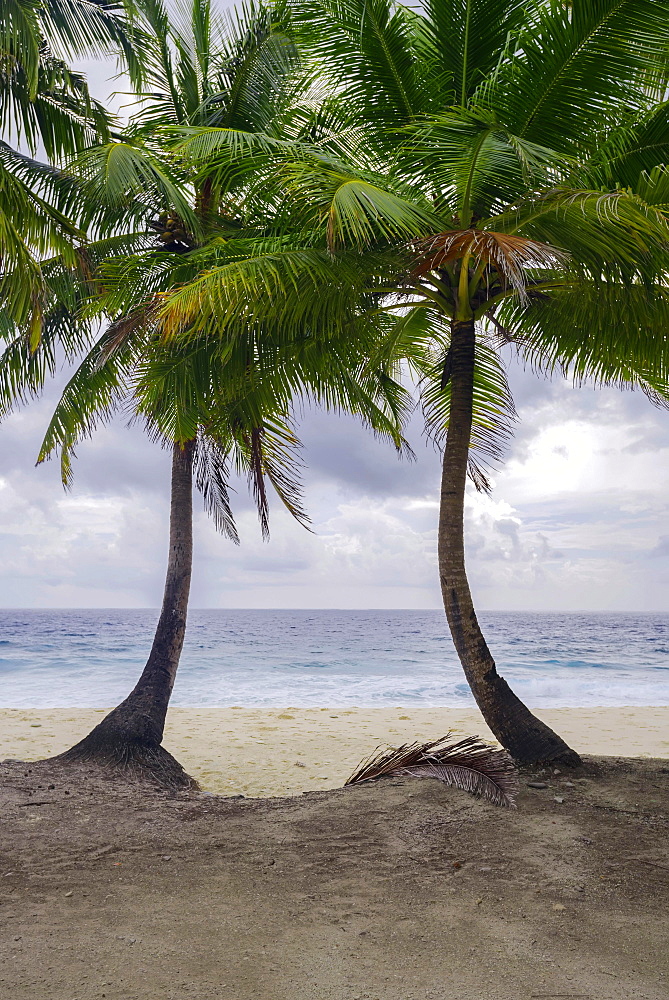 Two palm trees on deserted tropical beach, Fuvahmulah island, Indian Ocean, Maldives, Asia