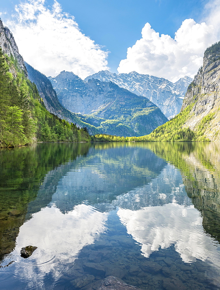 Obersee water Reflection, behind Watzmann massif, Salet on lake Konigssee, National Park Berchtesgaden, Berchtesgadener Land, Upper Bavaria, Bavaria, Germany, Europe