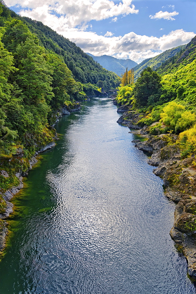 Buller River Gorge, Tasman Region, Southland, New Zealand, Oceania