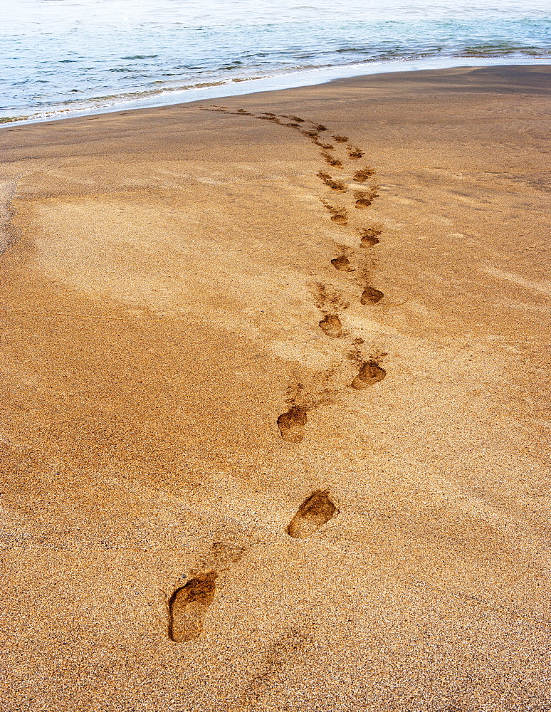 Footprints in the sand, beach of Playa de la Solapa in Ajuy, Fuerteventura, Canary Islands, Spain, Europe