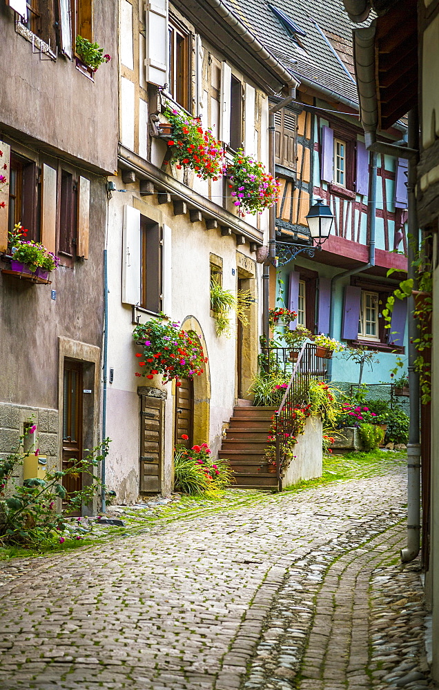 Alleyway with colourful half-timbered houses, Eguisheim, Département Haut-Rhin, Alsace, France, Europe