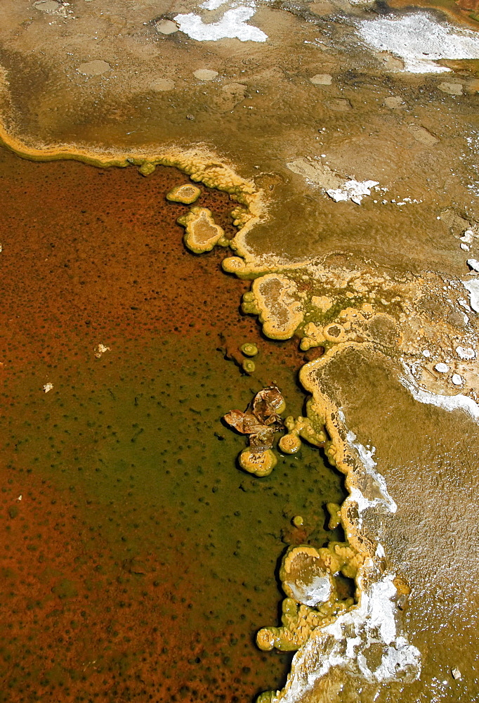 Detailed view of the discoloration caused by bacteria and algae on a geyser, Geyser Hill, Old Faithful Area, Yellowstone National Park, Wyoming, USA, North America