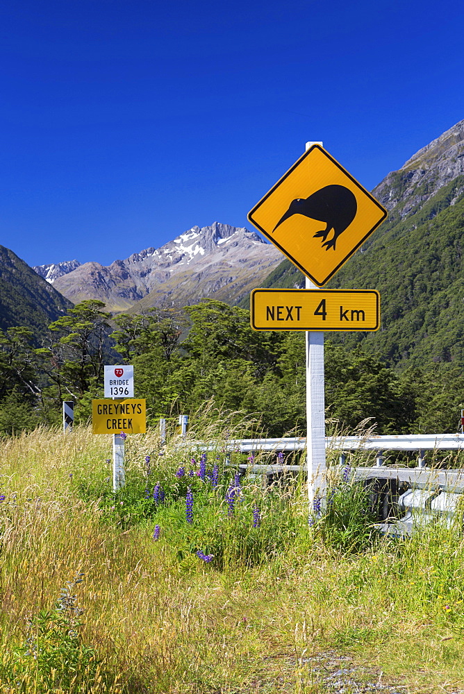 Warning sign, "Kiwis next 4km" at Greyneys Creek, looking towards Mt. Oates, 2041m, Canterbury Region, New Zealand, Oceania