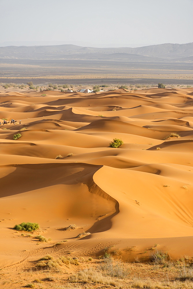 Sand dunes in the desert, dune landscape Erg Chebbi, Merzouga, Sahara, Morocco, Africa