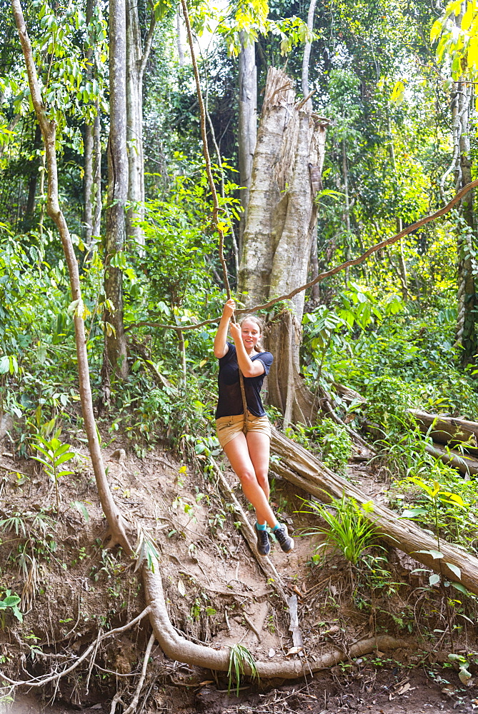 Young woman swinging on a vine in the jungle, tropical rain forest, Taman Negara, Malaysia, Asia