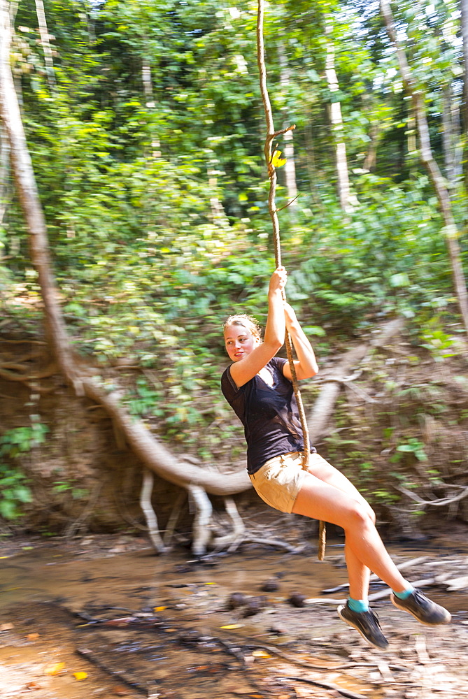 Young woman swinging on a vine in the jungle, tropical rain forest, Taman Negara, Malaysia, Asia