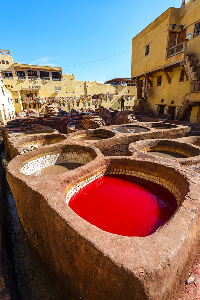 Cymbals with paint, dyeing, tannery Tannerie Chouara, tanner and dyer quarter, Fes el Bali, Fes, Kingdom of Morocco, Africa