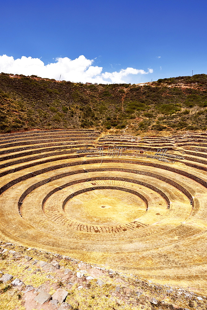 Inca terraces in the Sacred Valley, agriculture, Moray, Ollantaytambo, Peru, South America