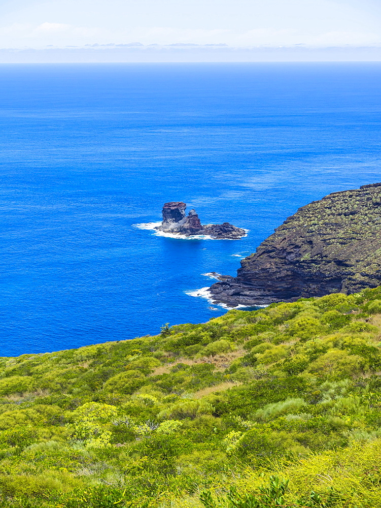 Cliffs, near Garafia, Punta del Puerto Viejo, La Palma, Canary Islands, Spain, Europe