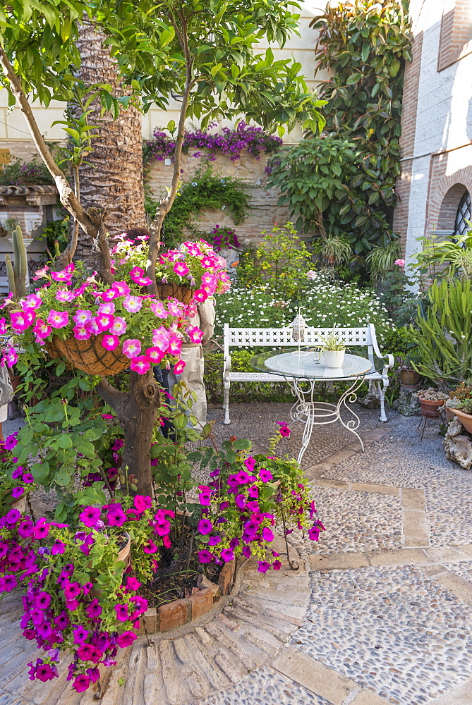 Flowers in a courtyard with a garden bench, Fiesta de los Patios, Cordoba, Andalusia, Spain, Europe