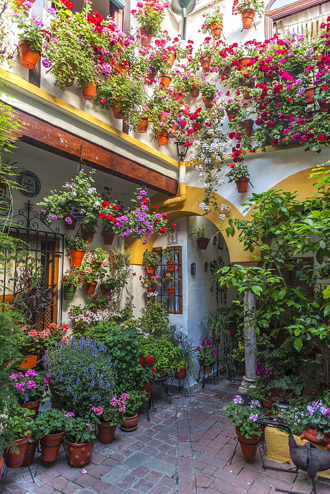 Many colorful flowers in flower pots on a house wall in the courtyard, Fiesta de los Patios, Cordoba, Andalusia, Spain, Europe