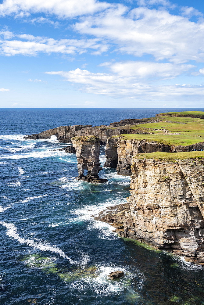 The cliffs of Yesnaby with the 35m high surf pillar, called Yesnaby Castle Sandwick, Mainland, Orkney Islands, Scotland, Great Britain